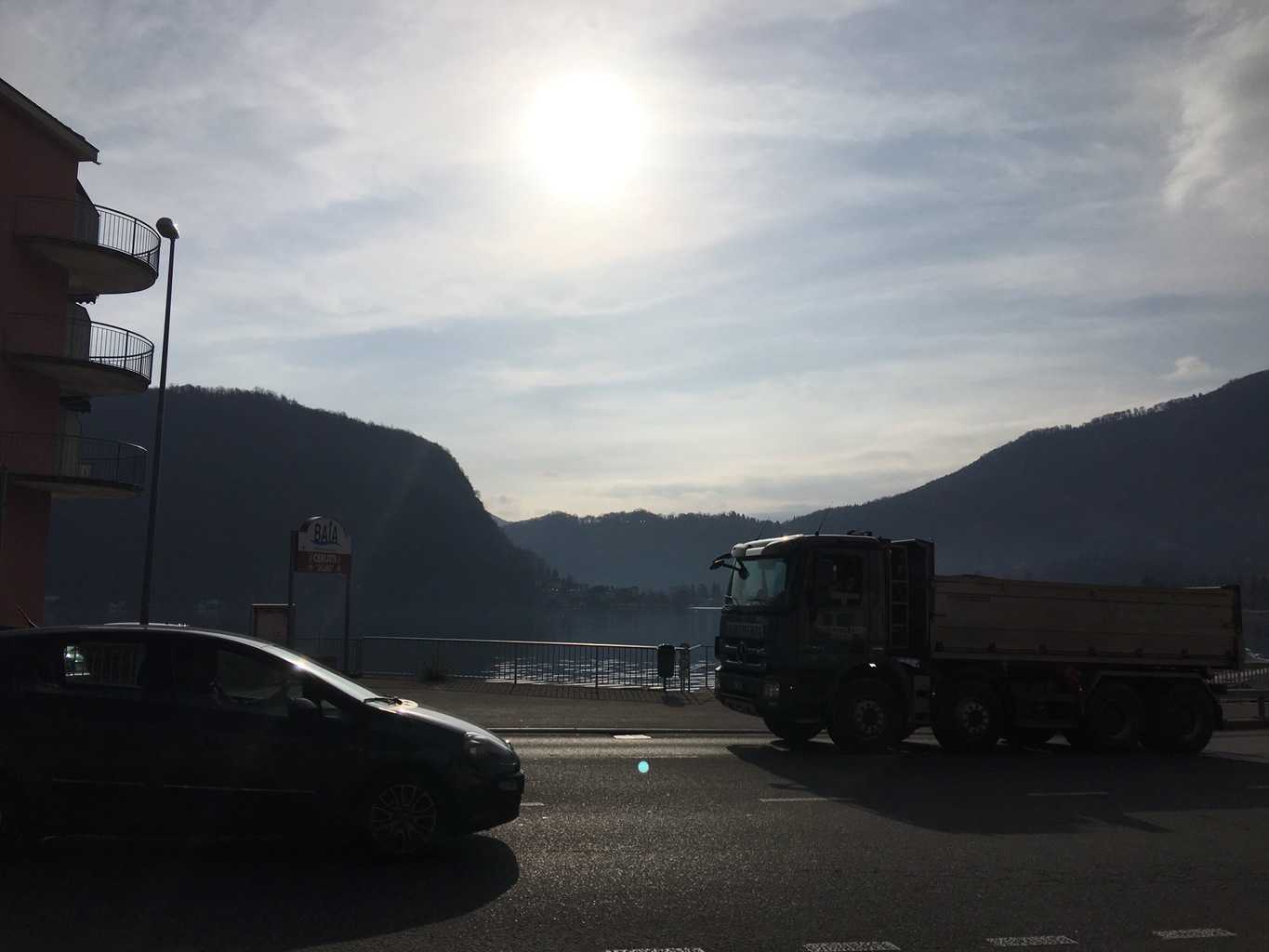 Feigen Strauch am Wasser entdeckt!