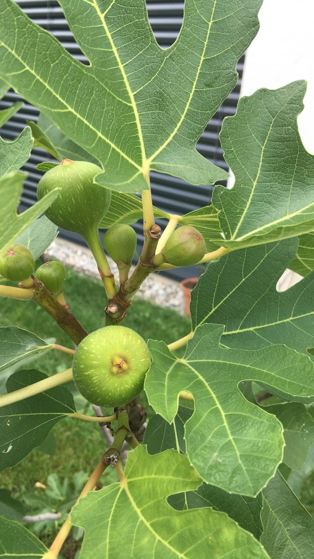 Update: Experiment Feige Ronde de Bordeaux!