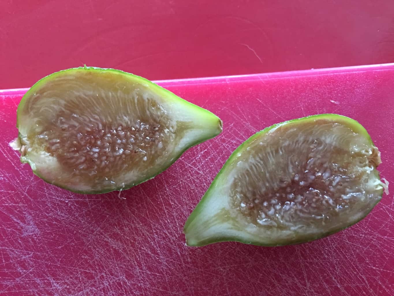 Una frutta di fico verde di Puglia in dettaglio!